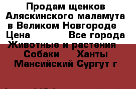 Продам щенков Аляскинского маламута в Великом Новгороде › Цена ­ 5 000 - Все города Животные и растения » Собаки   . Ханты-Мансийский,Сургут г.